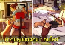 การ์ตูนน่ารักที่ทำให้เห็นว่า” คนโสด” ก็มีความสุขได้ถ้าอยู่กับสัตว์เลี้ยง