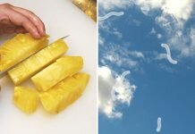 ผลการวิจัยบอกว่า กินสับปะรดแก้อาการมองเห็นจุดดำหรือลูกน้ำลอยไปมาได้