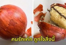 เค้ก สุดแฟนตาซีสวยซะจนไม่กล้ากิน