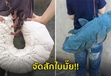 ศิลปินสร้างกระเป๋า และอุปกรณ์เสริมอื่นๆ ที่ดูเหมือนแมลง และสัตว์อื่นๆ