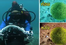 นักวิทยาศาสตร์คิดค้นอัลกอริทึม ที่ทำให้การถ่ายภาพใต้น้ำมีสีสันที่สดใส