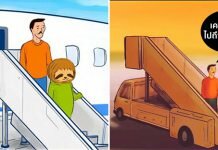 นักเขียนการ์ตูนสร้างบทบาทสมมุติถ้า ” สล็อต ” มาใช้ชีวิตประจำวันแบบคนจะเป็นอย่างไร