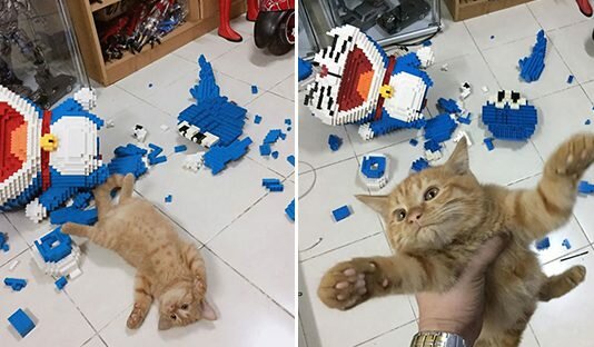 หนุ่มโพสต์ความซนของเจ้าเหมียว ที่ทำเลโก้แตก ไม้เรียวในมือสั่นมาก